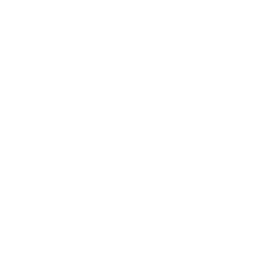 mug saucer regular