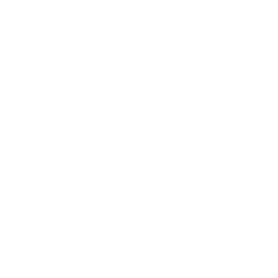 timer regular